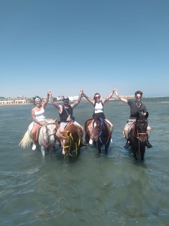 HORSEBACK RIDING IN HURGHADA (1 HOUR $ 15, 2 HOURS $22)